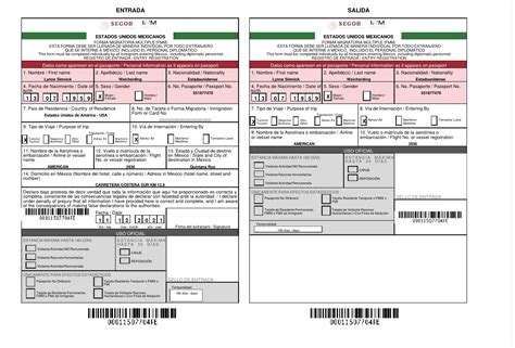 Forma Migratoria Múltiple Digital (FMMd)